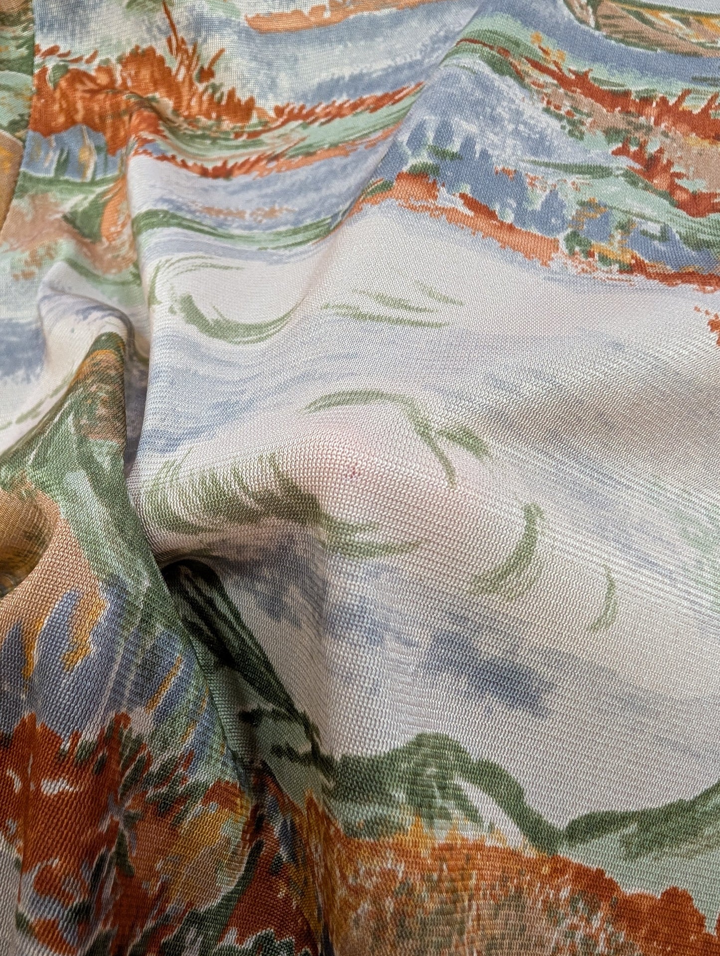 1970s scenic novelty print shirt