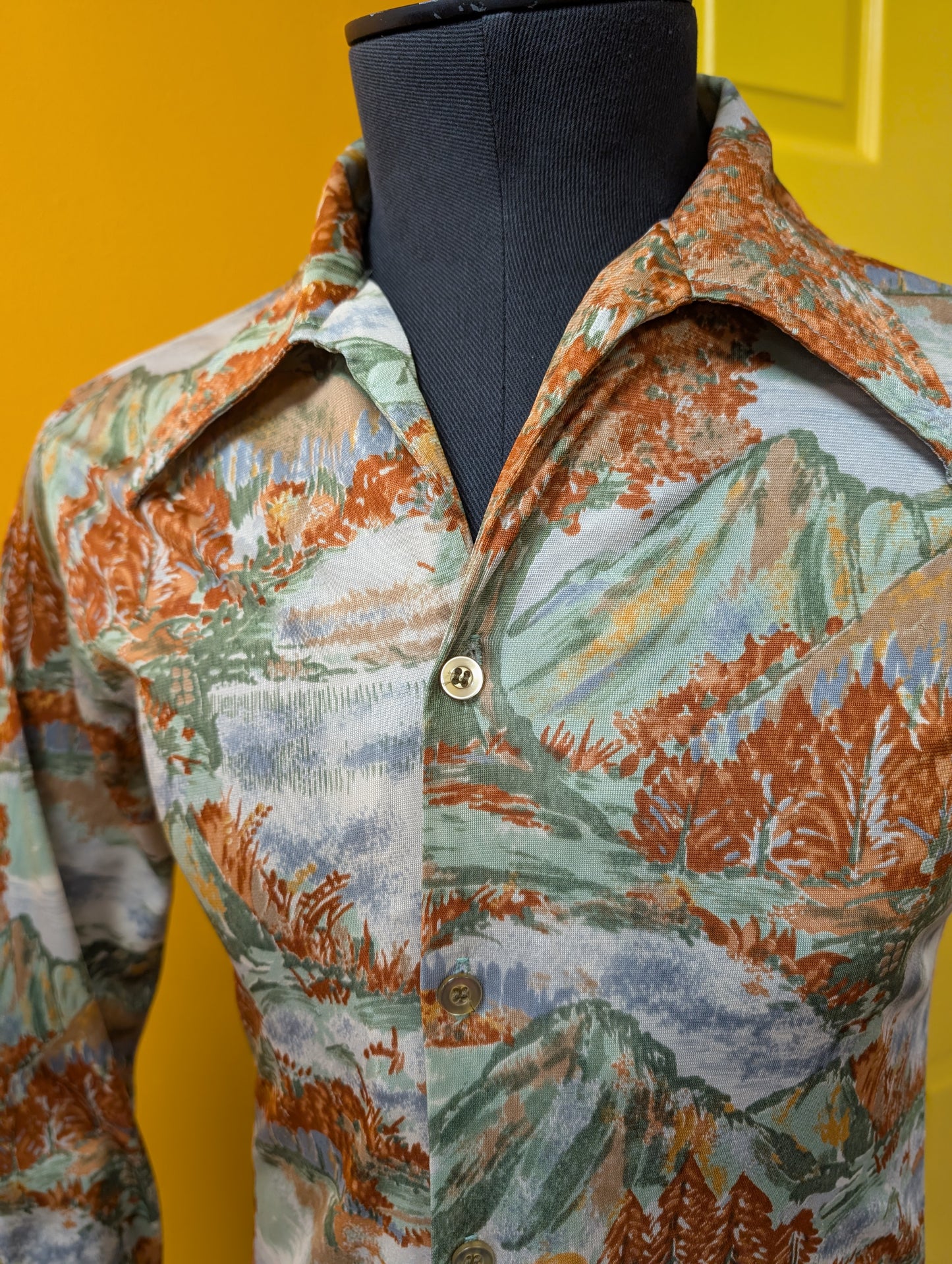 1970s scenic novelty print shirt