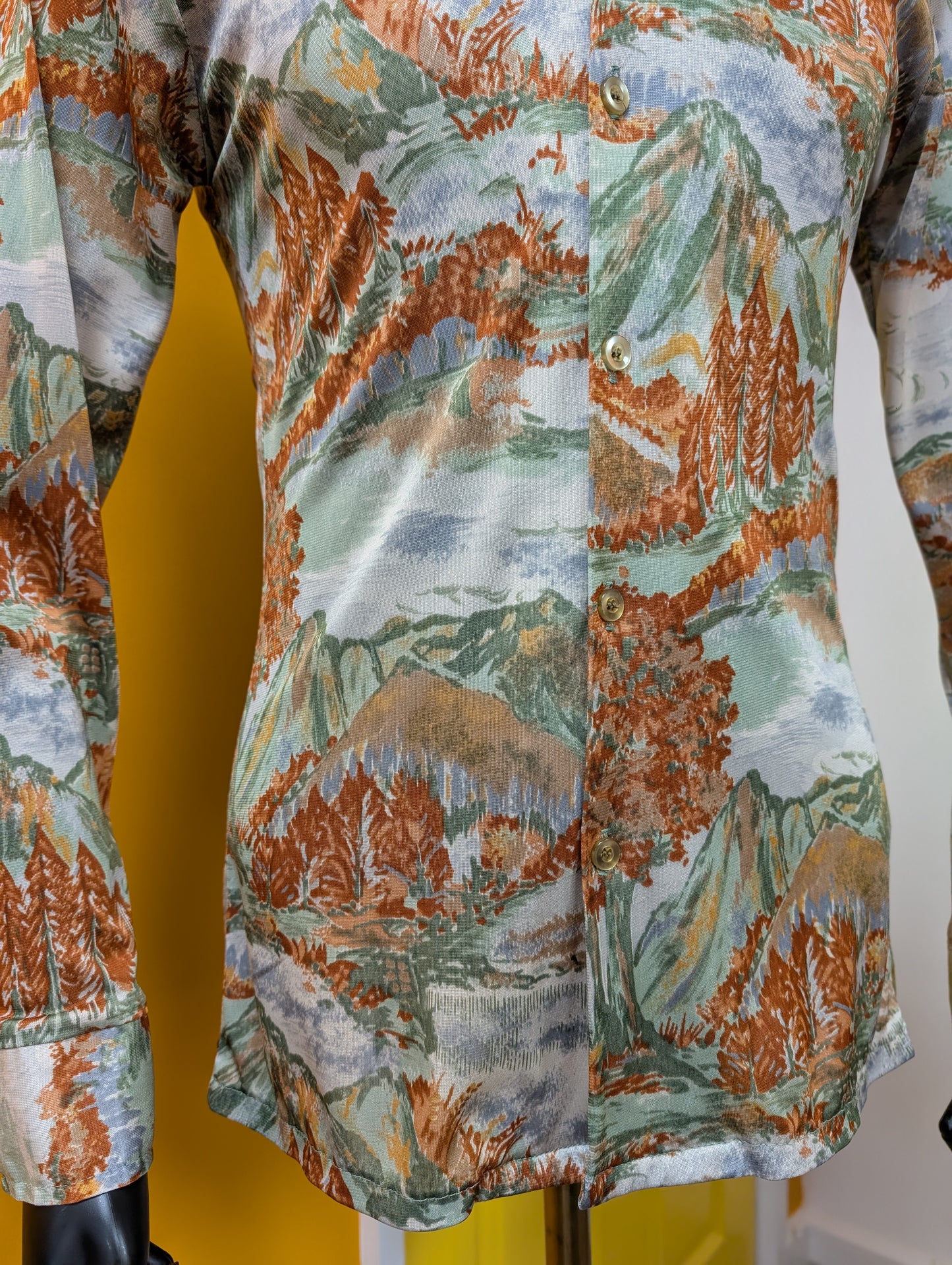 1970s scenic novelty print shirt