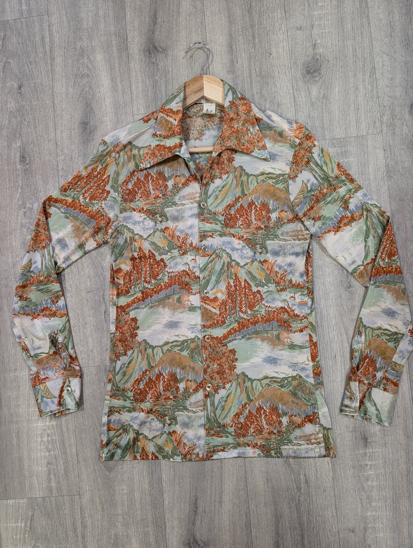 1970s scenic novelty print shirt