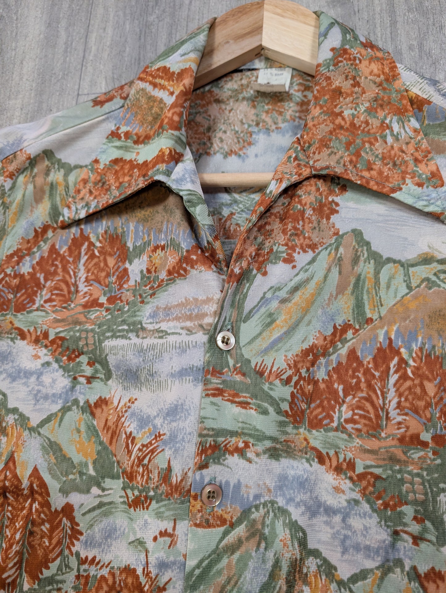 1970s scenic novelty print shirt