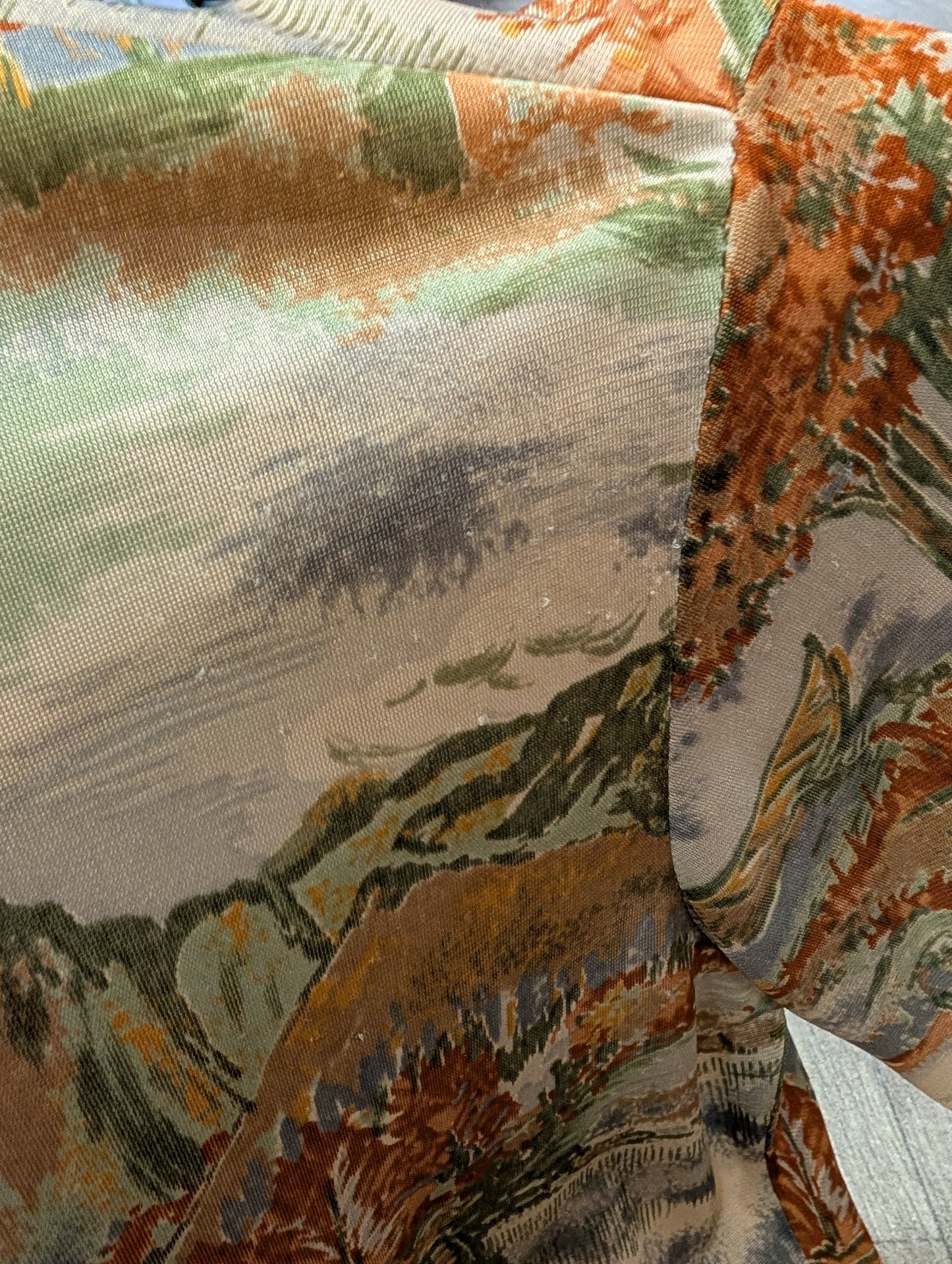1970s scenic novelty print shirt