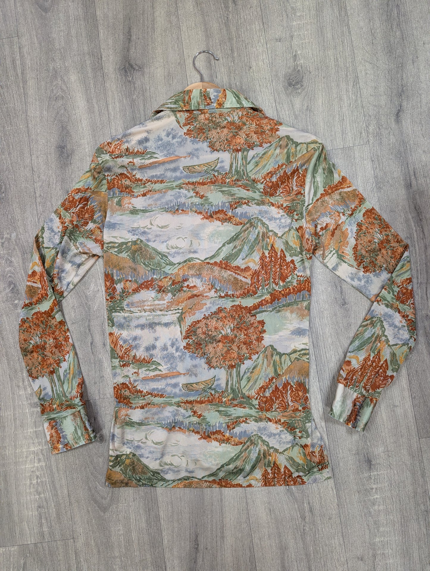 1970s scenic novelty print shirt